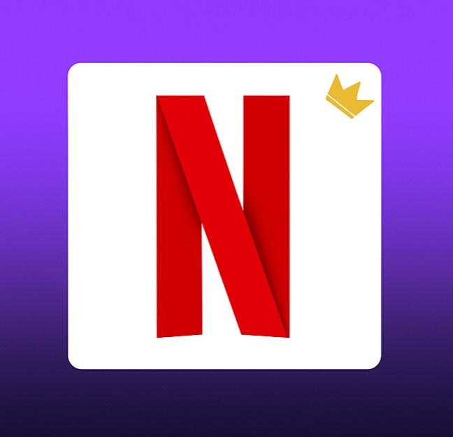 NETFLIX SUBSCRIPTIONS
